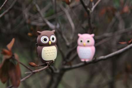Bone Owl