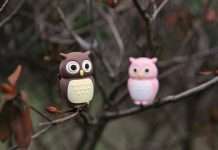 «Пернаті» флеш-накопичувачі Bone Owl