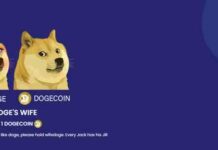 Клон dogecoin подорожчав майже на 1000% за добу