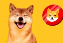 Сестра марка цукерберга закликає купувати криптовалюту shiba inu, яка подорожчала на 90 000 000% з моменту запуску