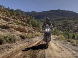 10 мотоциклів Yamaha та Suzuki, які впораються з роботою та дикою природою